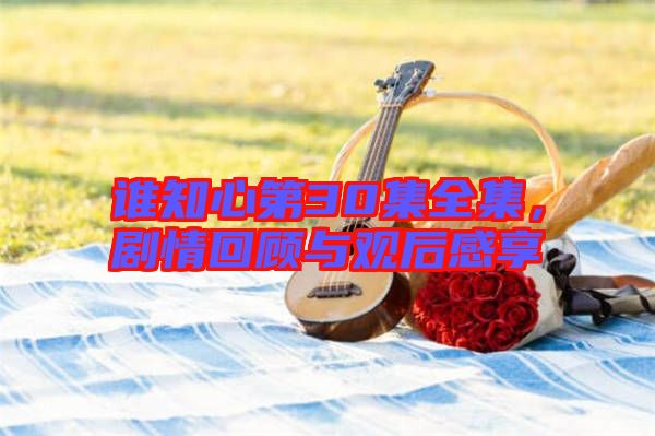 誰知心第30集全集，劇情回顧與觀后感享