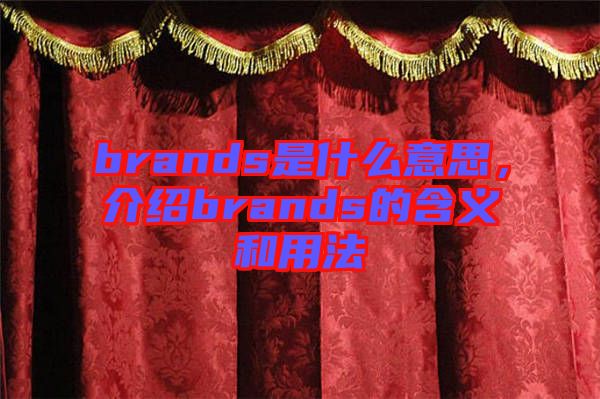 brands是什么意思，介紹brands的含義和用法
