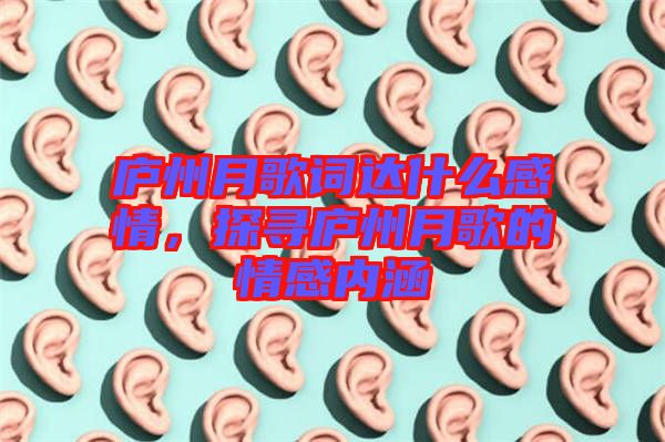 廬州月歌詞達什么感情，探尋廬州月歌的情感內涵