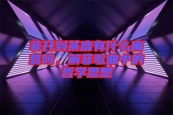 菲開到荼靡有什么寓意嗎,解菲歌曲中的哲學(xué)思想