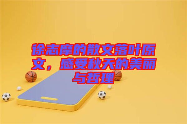 徐志摩的散文落葉原文，感受秋天的美麗與哲理
