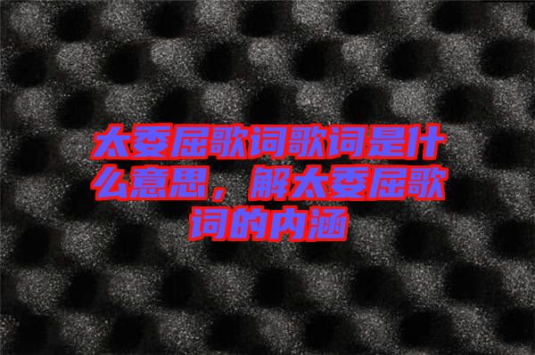 太委屈歌詞歌詞是什么意思,解太委屈歌詞的內涵