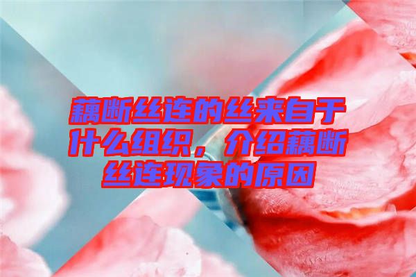 藕斷絲連的絲來自于什么組織,介紹藕斷絲連現象的原因