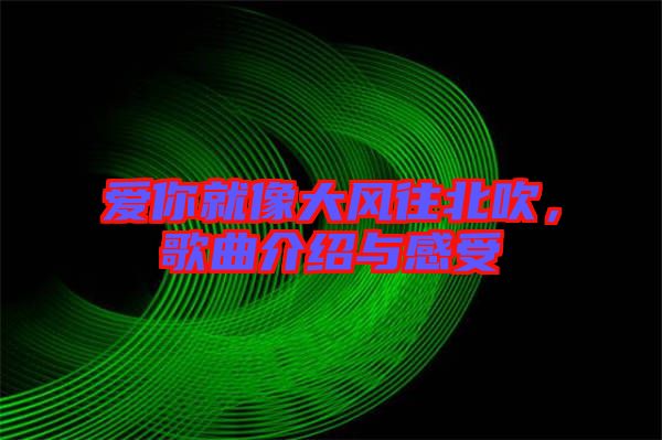 愛你就像大風(fēng)往北吹,歌曲介紹與感受