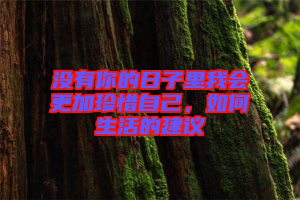 沒(méi)有你的日子里我會(huì)更加珍惜自己，如何生活的建議