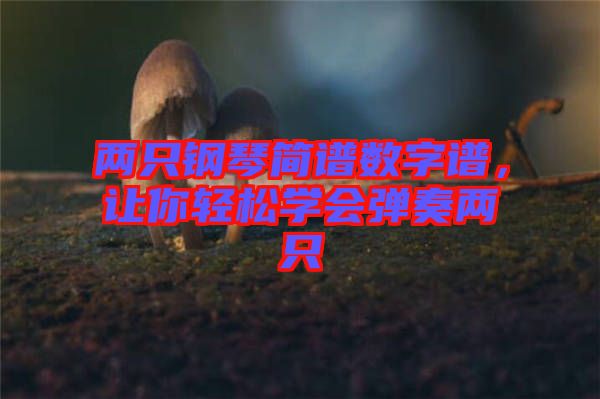 兩只鋼琴簡譜數(shù)字譜,讓你輕松學(xué)會(huì)彈奏兩只