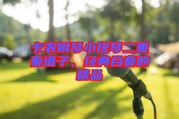 卡農鋼琴小提琴二重奏譜子,經典合奏的精品