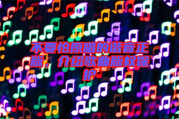 不要怕原唱的諧音正版，介紹歌曲版權保護