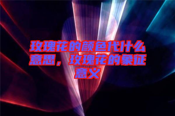 玫瑰花的顏色代什么意思，玫瑰花的象征意義