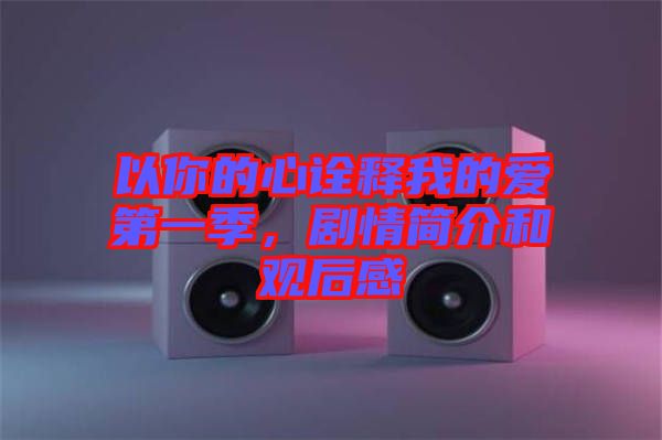 以你的心詮釋我的愛第一季，劇情簡介和觀后感