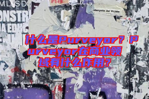 什么是Purveyor？Purveyor在商業領域有什么作用？
