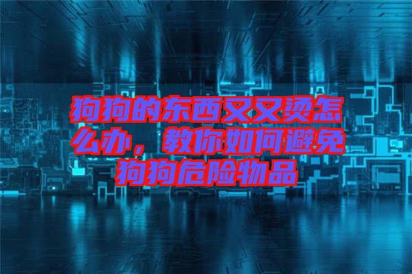 狗狗的東西又又燙怎么辦,教你如何避免狗狗危險(xiǎn)物品