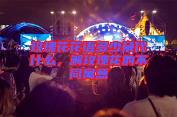 玫瑰花花語多少朵代什么，解玫瑰花的不同寓意