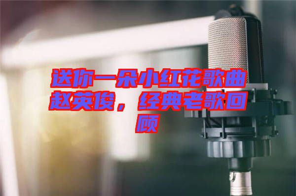 送你一朵小紅花歌曲趙英俊,經典老歌回顧
