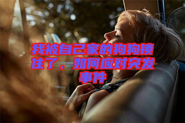 我被自己家的狗狗鎖住了,如何應(yīng)對突發(fā)事件