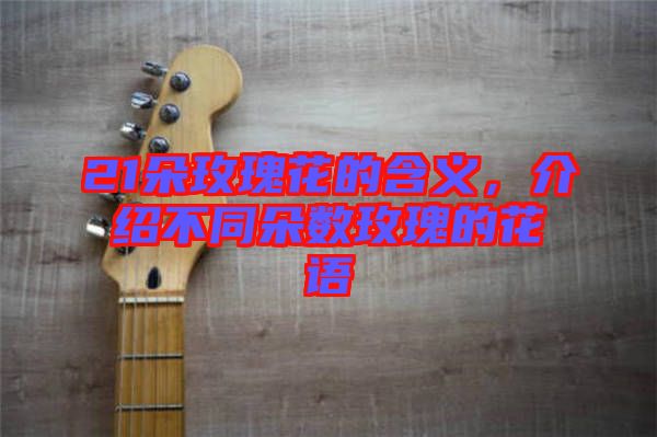 21朵玫瑰花的含義，介紹不同朵數玫瑰的花語