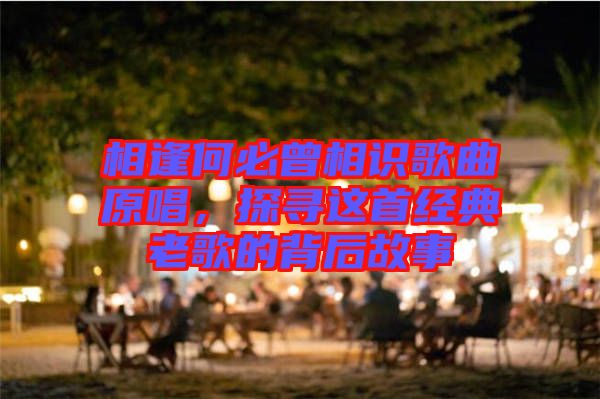 相逢何必曾相識(shí)歌曲原唱,探尋這首經(jīng)典老歌的背后故事