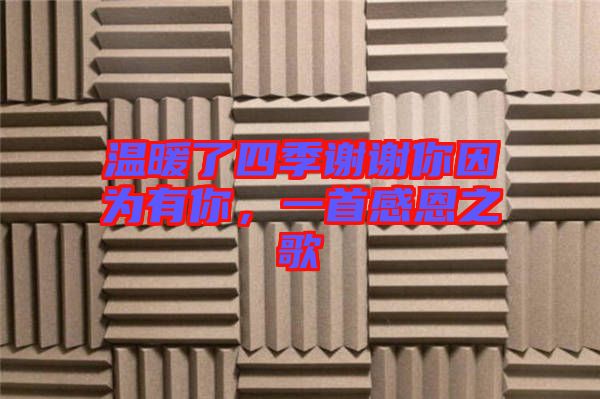 溫暖了四季謝謝你因?yàn)橛心?，一首感恩之? width=