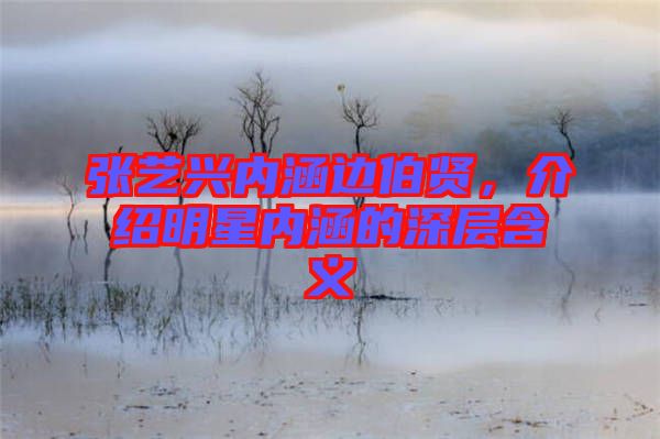 張藝興內(nèi)涵邊伯賢,介紹明星內(nèi)涵的深層含義