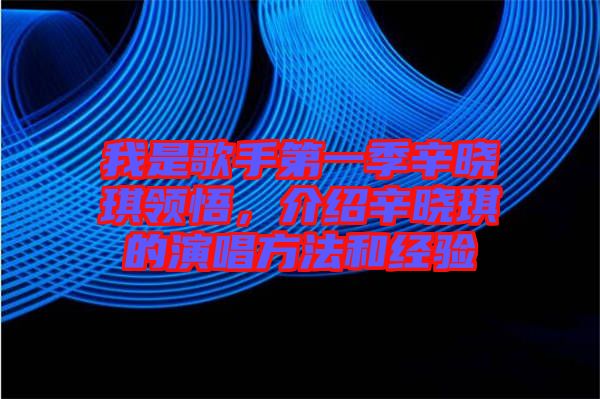 我是歌手第一季辛曉琪領悟，介紹辛曉琪的演唱方法和經驗