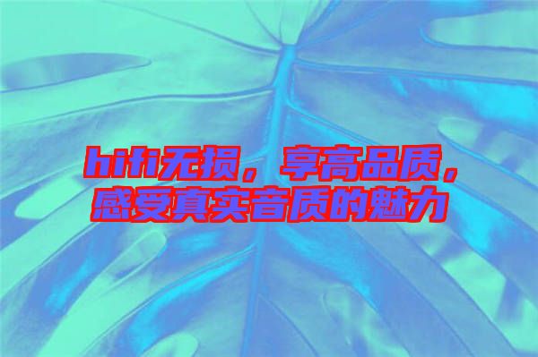hifi無損,享高品質(zhì),感受真實(shí)音質(zhì)的魅力