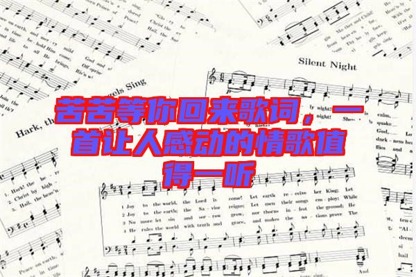苦苦等你回來歌詞，一首讓人感動的情歌值得一聽