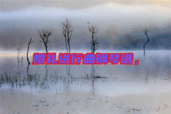 婚禮進(jìn)行曲鋼琴譜，