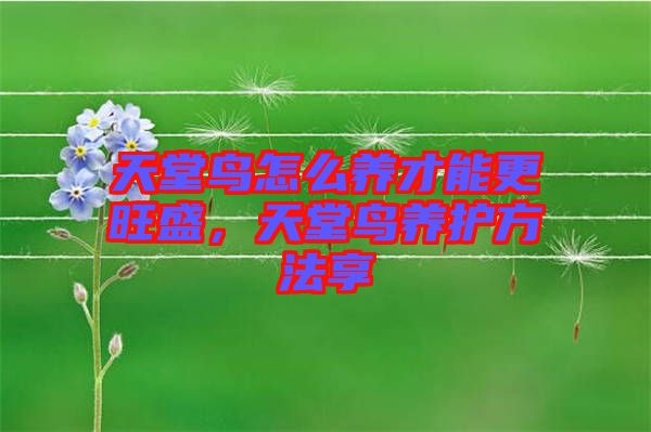 天堂鳥怎么養(yǎng)才能更旺盛,天堂鳥養(yǎng)護(hù)方法享