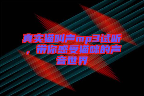 真實(shí)貓叫聲mp3試聽(tīng),帶你感受貓咪的聲音世界