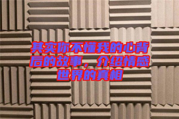 其實你不懂我的心背后的故事，介紹情感世界的真相