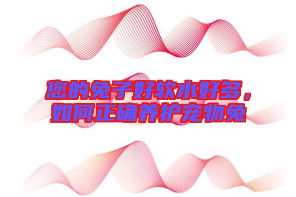 您的兔子好軟水好多，如何正確養護寵物兔
