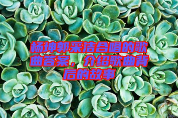 楊坤郭采潔合唱的歌曲答案，介紹歌曲背后的故事