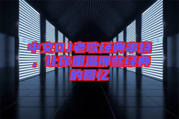 中文DJ老歌經(jīng)典串燒,讓你重溫那些經(jīng)典的回憶