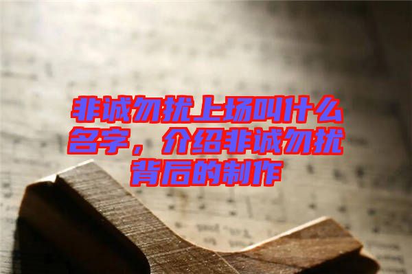 非誠勿擾上場叫什么名字，介紹非誠勿擾背后的制作