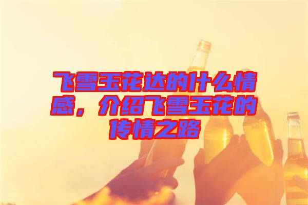 飛雪玉花達的什么情感，介紹飛雪玉花的傳情之路