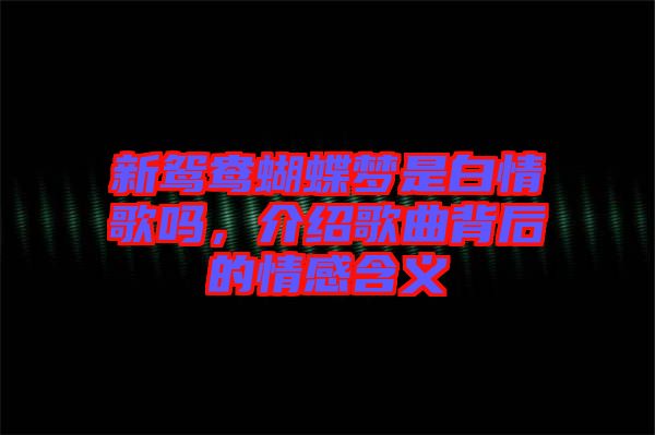 新鴛鴦蝴蝶夢(mèng)是白情歌嗎，介紹歌曲背后的情感含義