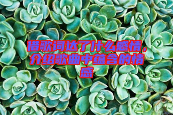 借歌詞達(dá)了什么感情，介紹歌曲中蘊(yùn)含的情感