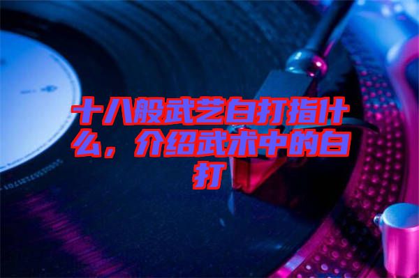 十八般武藝白打指什么，介紹武術中的白打