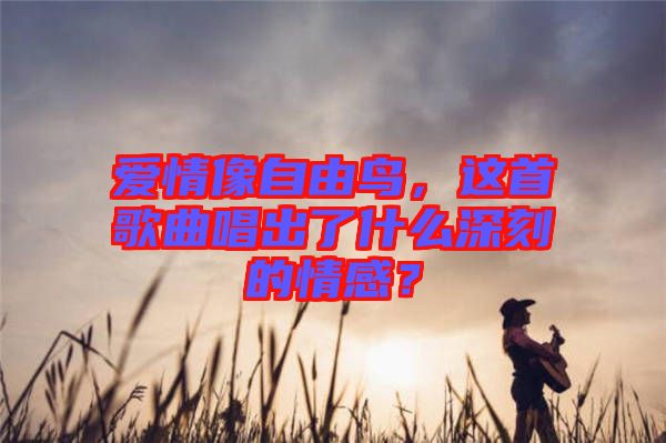 愛(ài)情像自由鳥，這首歌曲唱出了什么深刻的情感？