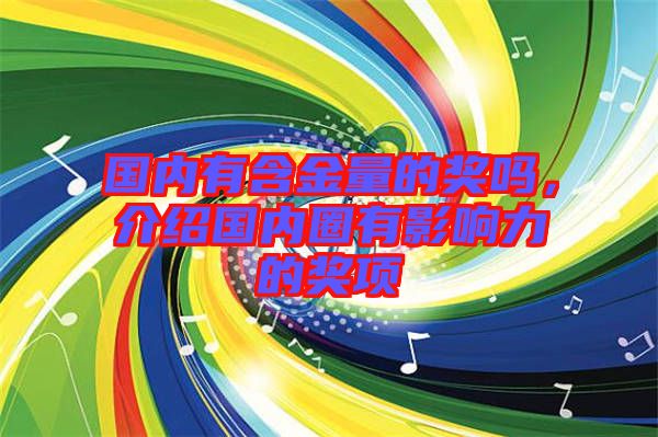 國內(nèi)有含金量的獎嗎,介紹國內(nèi)圈有影響力的獎項