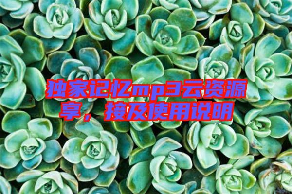 獨家記憶mp3云資源享，接及使用說明