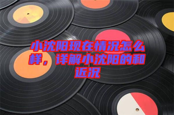 小沈陽現在情況怎么樣,詳解小沈陽的和近況