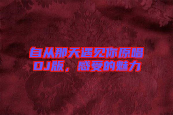自從那天遇見(jiàn)你原唱DJ版,感受的魅力