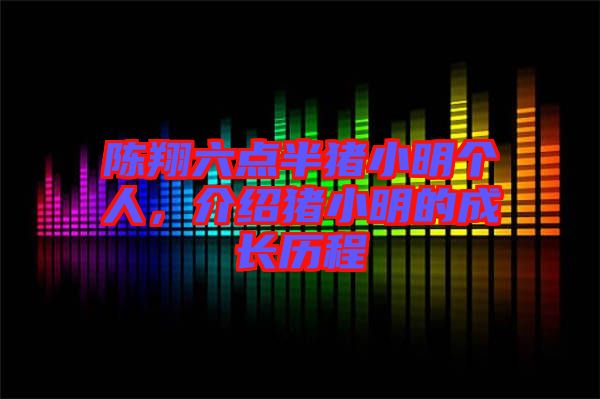 陳翔六點半豬小明個人，介紹豬小明的成長歷程