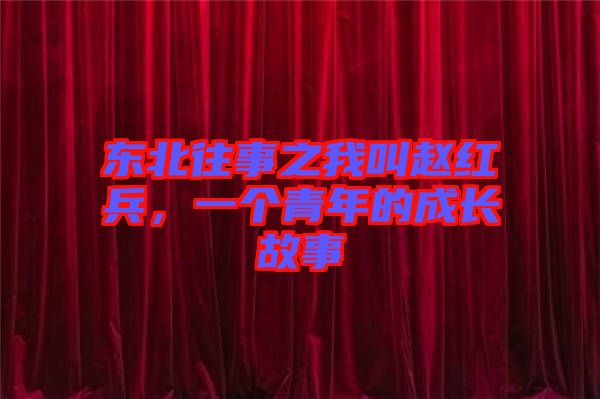 東北往事之我叫趙紅兵,一個(gè)青年的成長(zhǎng)故事