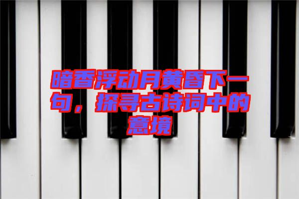 暗香浮動月黃昏下一句，探尋古詩詞中的意境