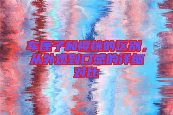 車厘子和櫻桃的區別,從外觀到口感的詳細對比