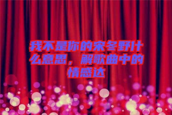 我不是你的宋冬野什么意思,解歌曲中的情感達(dá)