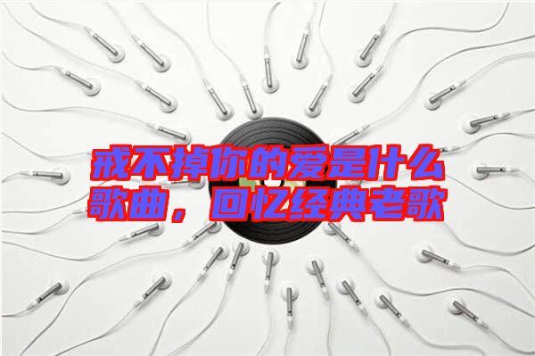 戒不掉你的愛是什么歌曲,回憶經(jīng)典老歌