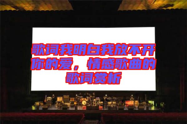 歌詞我明白我放不開(kāi)你的愛(ài),情感歌曲的歌詞賞析